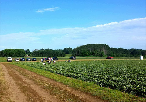 Wisconsin Berry Growers Associations Vegetable Growers
